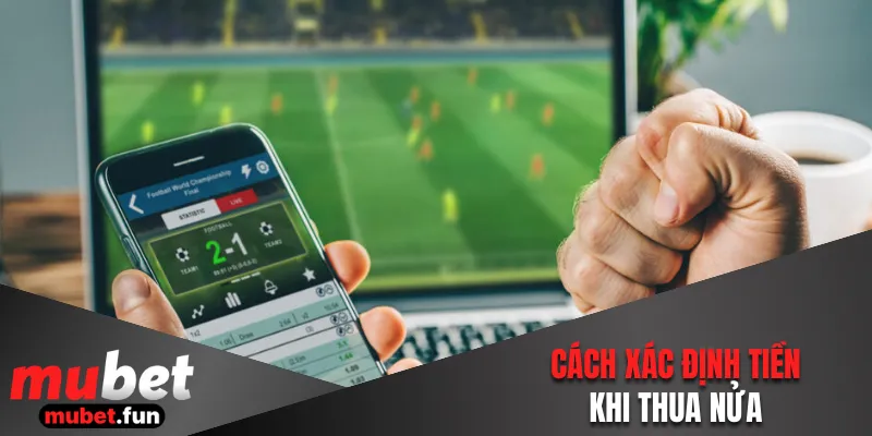 Cách xác định tiền khi thua nửa 